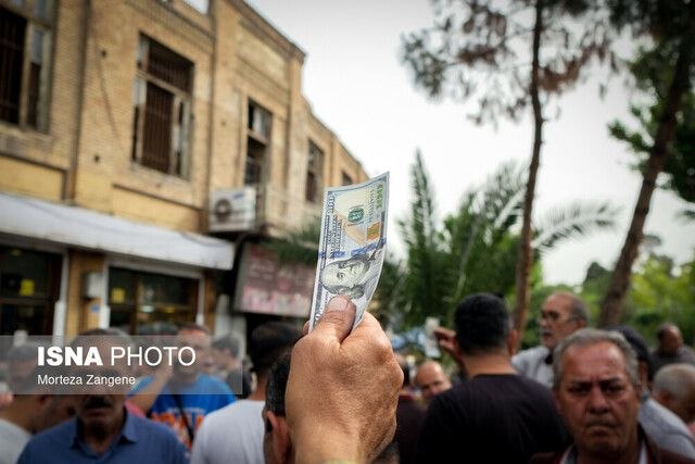 دلار بی‌مشتری ماند!🔹️پس از اینکه دولت و بانک مرکزی