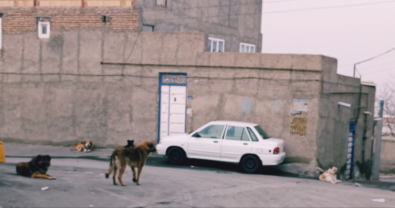 post_image_1787298766_6a8803ce23ea0-1